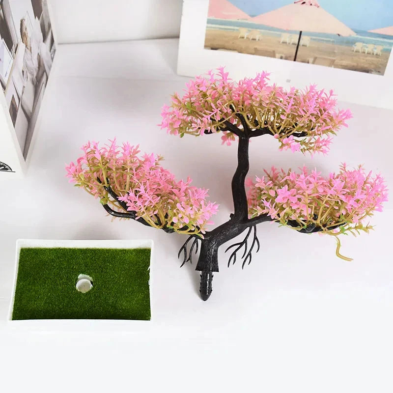 Planta decoração Bonsai