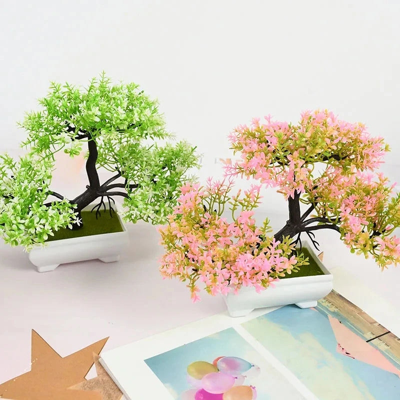 Planta decoração Bonsai