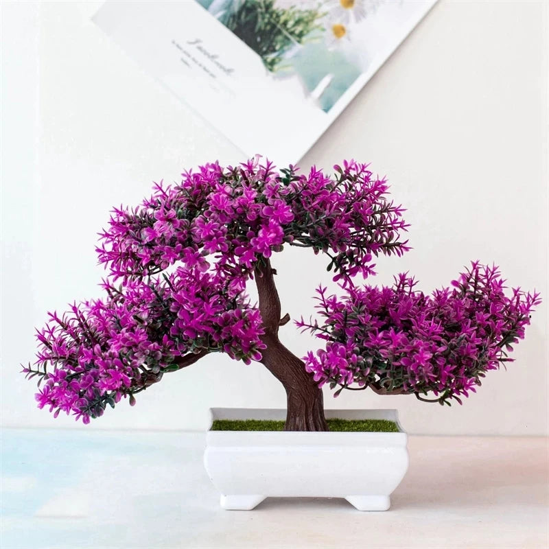 Planta decoração Bonsai