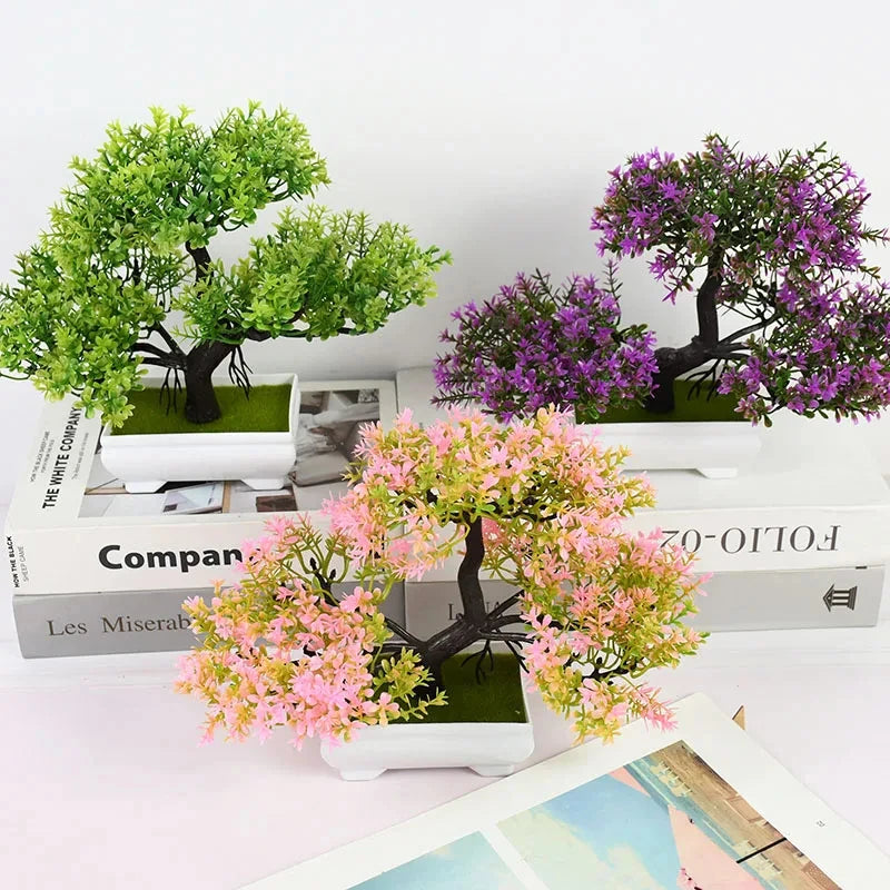 Planta decoração Bonsai